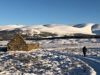 IMG_2970