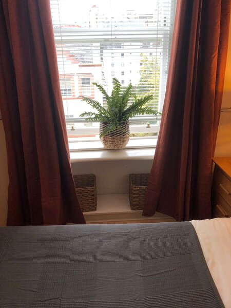 Window/View
