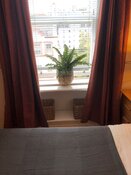 Window/View