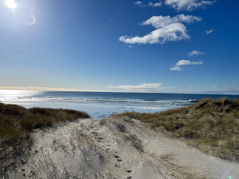 FA599383-AE80-4288-AA39-55AF6BEB7A90