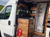Campervan Stag