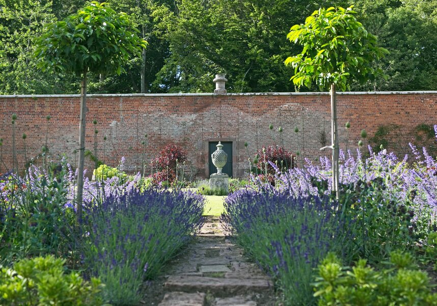 Pet-Friendly Accommodation