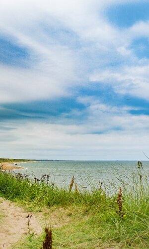 Scottish beach - Sandy beach with green grass under a blue sky.