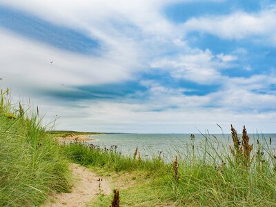 Scottish beach - Sandy beach with green grass under a blue sky.