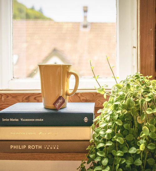 Window + Books + Coffee (© Creative Comms Zero (CC0))