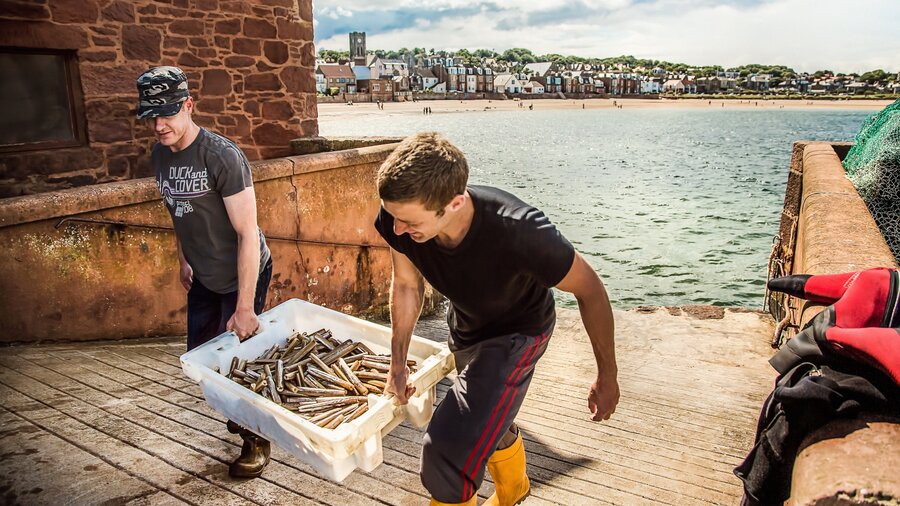 Razor clam fishermen - Razor clam fishermen carry a box of clams in North Berwick harbour (© Visit Scotland)