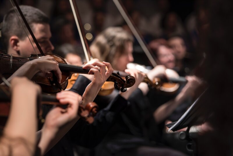 Violinists playing in an orchestra (© Larisa Birta on Unsplash)