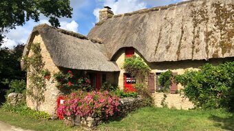 Holiday cottage in Suffolk - Thatched roof of cottage with flowers (© Badiuth)