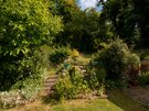 Garden at SeaPink Cottage - Lush, vibrant garden in North Berwick hoiday rental cottage.