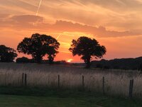 Norfolk Sunset