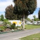 Picture of All Seasons Holiday Park, Canterbury