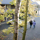 Picture of Christchurch Top 10 Holiday Park - Meadow Park, Canterbury