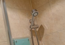 LadyStairsClose_2-27