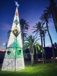 R105 Christmas (002)