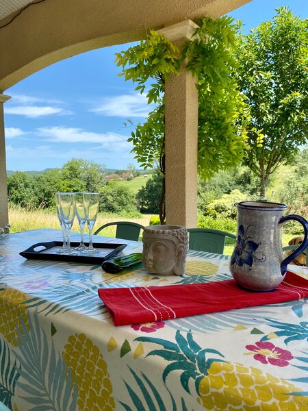Terrasse ensoleillée avec coin repas une belle vue sur le jardin