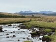 Local Fly Fishing Experience