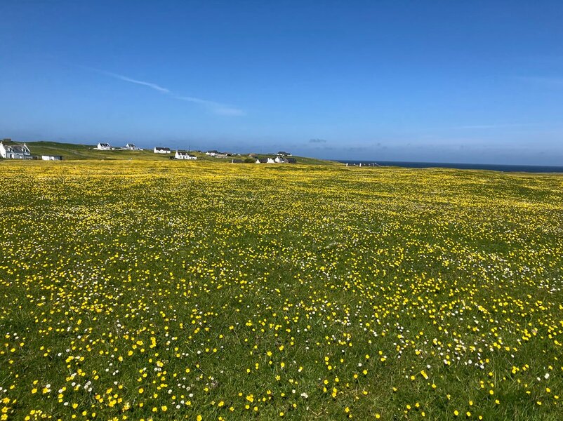 Photo 03-06-2024, 11 29 34