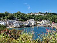 3. Fowey From Bodinnick