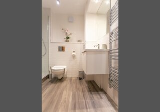 Modern Shower room with toilet
