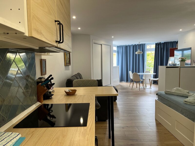 Studio apartment kitchen