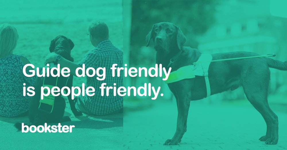 Guide dogs in holiday lets - An assistance dog and people with visibility impairments at holiday rentals. Guide dogs in holiday lets - An assistance dog and people with visibility impairments at holiday rentals.