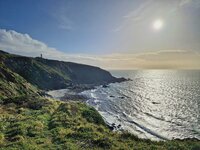 7. Gribben Head