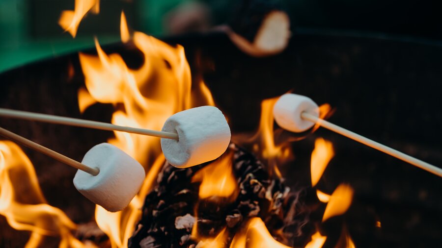 Toasting marshmallows - Toasting marshmallows on a campfire (© Leon Contreras on Unsplash)