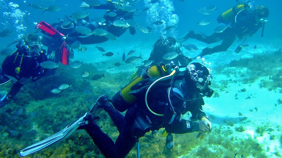 "Gozo Buoyant Dive Centres"