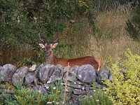 PHOTO-2025-08-22-12-15-15