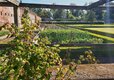 Charming walled garden