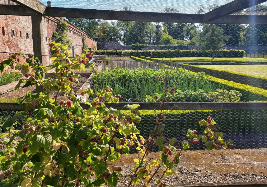 Charming walled garden