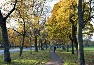The Meadows in Autumn