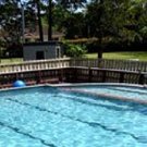 Picture of All Seasons Holiday Park, Bay of Plenty