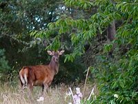 7df7ba8c-0903-474e-8a6b-7bec217f1f0e