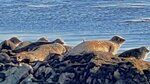 IMG_1421