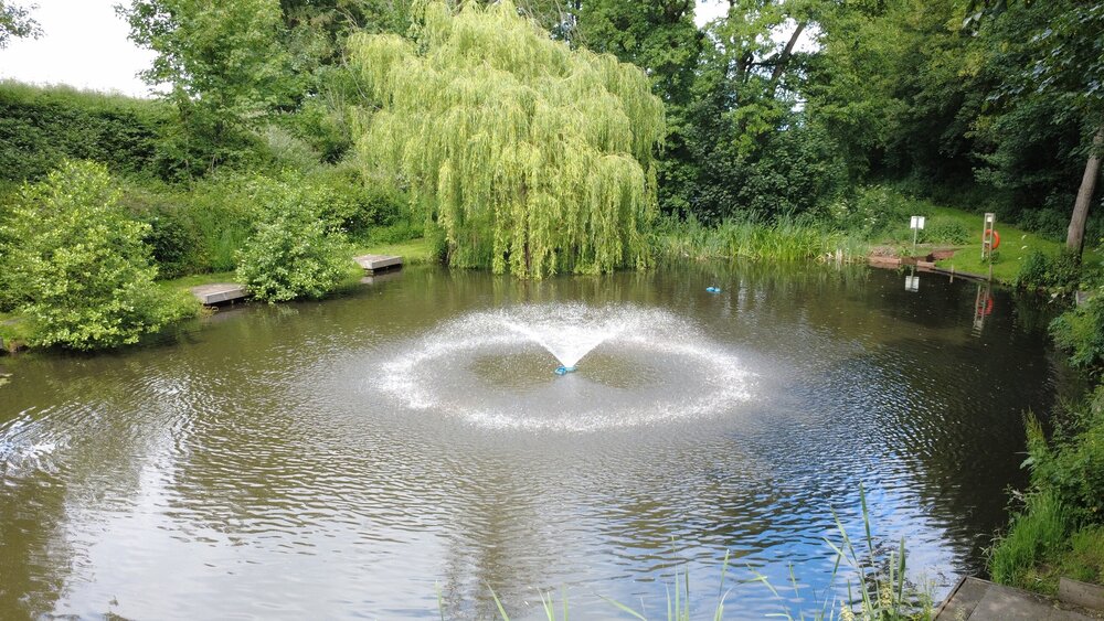 Willow lake