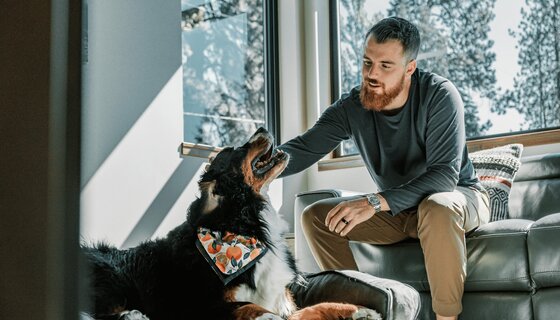 Man Interacting with Bernese Mountain Dog Indoors - https://www.pexels.com/photo/man-interacting-with-bernese-mountain-dog-indoors-28860760/ (© Impact Dog Crates)