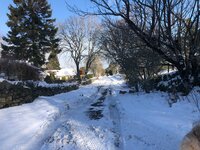 IMG_1795