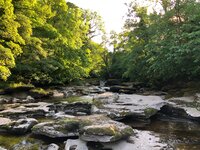 River Eden at Stenkrith Park