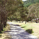 Picture of Maitai Valley Motor Camp, Nelson