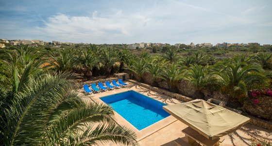 View on the pool - Balcony view on the swimming pool, palm trees and loungers in villa in Gozo