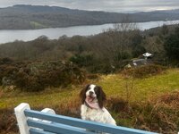 Views of Lake Windermere from the garden
