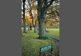 Meadows in Autumn