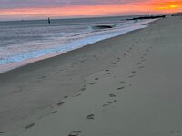Eccles Beach, Norfolk Coast at Sunrise