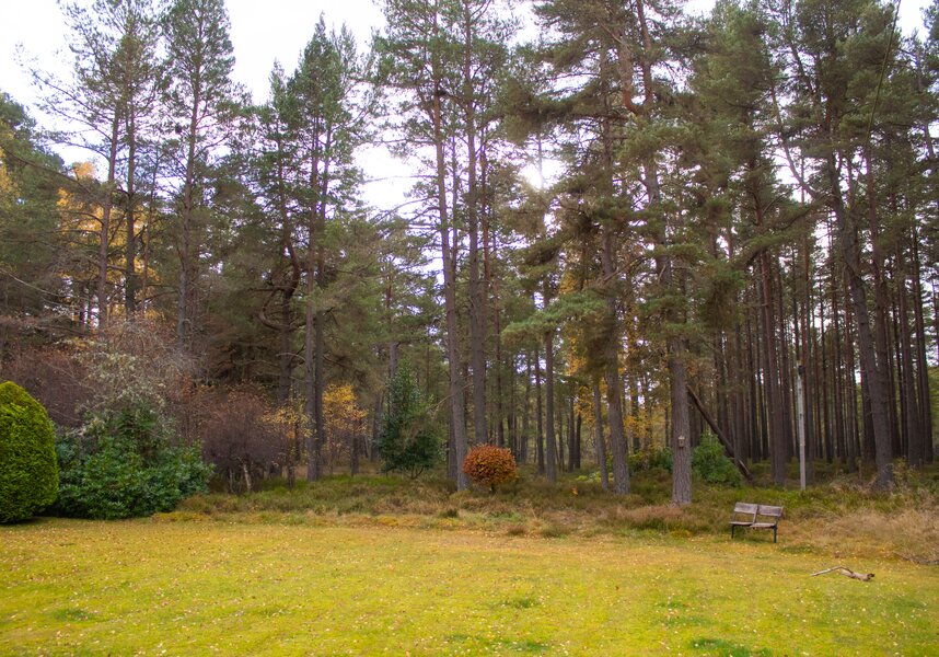 Dalnaglar - Nethybridge, Cairngorms