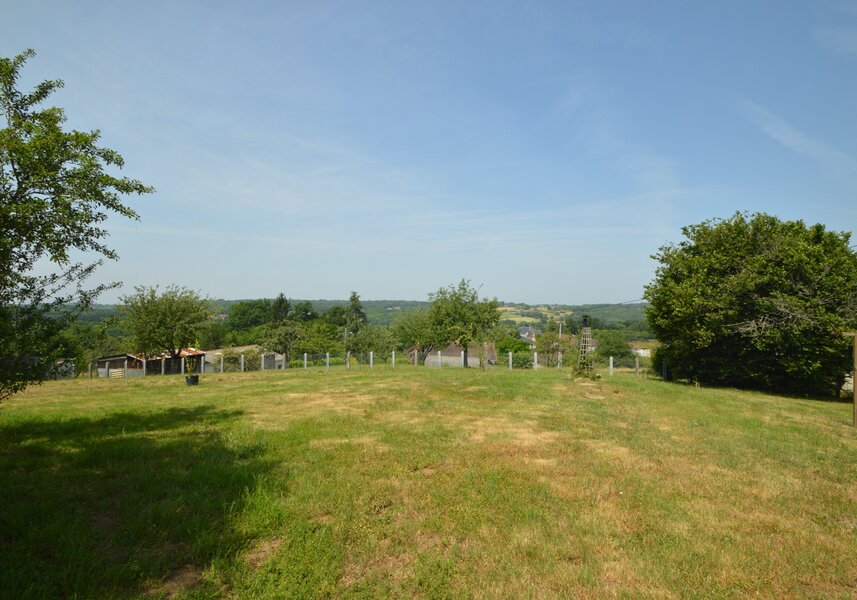 Jardin privé, espace gazonné avec arbres établis