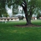 Picture of Cambridge Motor Camp, Taupo