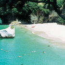 Picture of Hahei Holiday Resort, Waikato