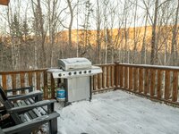 Gas Grill