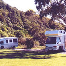 Picture of Camp Elsdon, Wellington